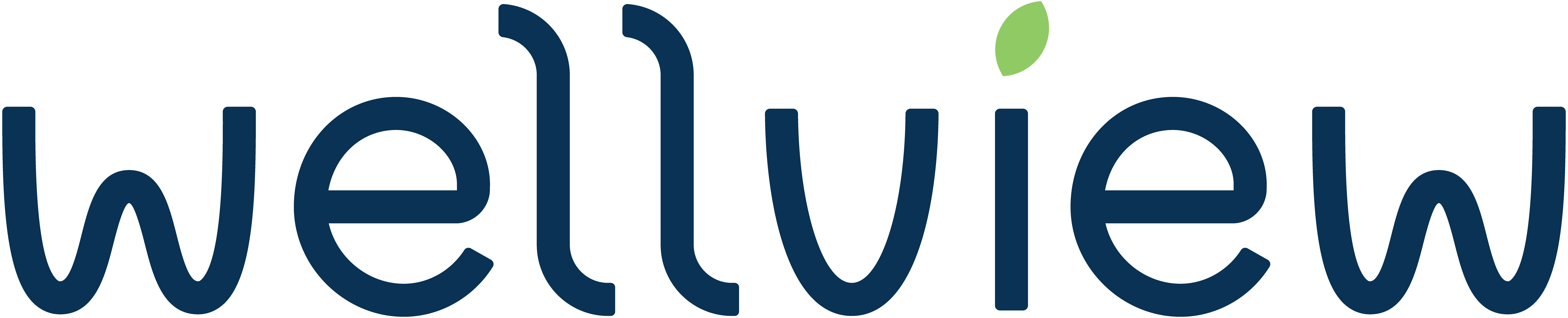 Wellview